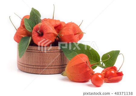 physalis in wooden bowl isolated on white background physalis in wooden bowl isolated on white background 48371138