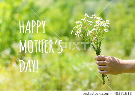 Happy mother's day text and field daisies in hand Happy mother's day text and field daisies in hand 48371618