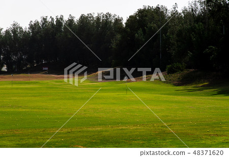 Golf course covered with golfing balls Golf course covered with golfing balls 48371620