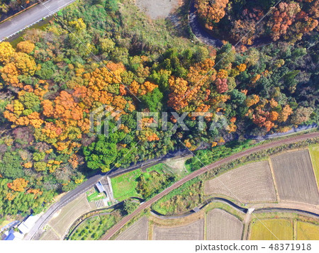 Aerial photographs at autumn leaves, rural areas, and Takuro line to Dorong (Itano Onsuki, Tokushima prefecture) Aerial photographs at autumn leaves, rural areas, and Takuro line to Dorong (Itano Onsuki, Tokushima prefecture) 48371918