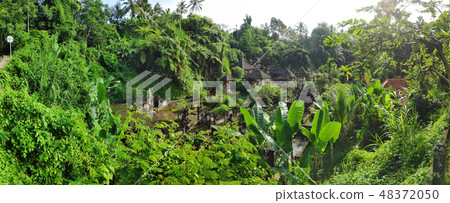 View of Gunung Kawi Temple in Bali 48372050