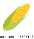 玉米 48373145