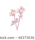玫瑰花材料卡材料橫幅材料為web 48373636