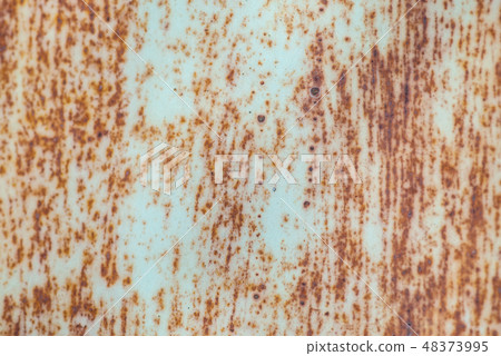 Metallic rust dirty and old texture background. Selective focus macro shot with shallow DOF 48373995