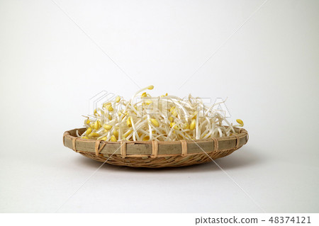 Fresh Organic Sprouts _014 Fresh Organic Sprouts _014 48374121