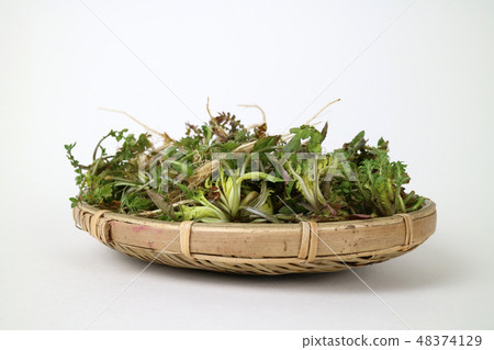 Fresh spring vegetables _008 Fresh spring vegetables _008 48374129