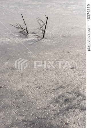 Lakefront on freezing M37 Lakefront on freezing M37 48374239