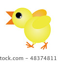 Chick illustration 48374811