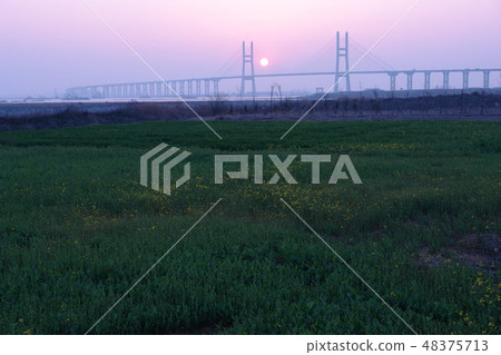 Seohae Bridge, Dangjin-gun, Chungnam 48375713