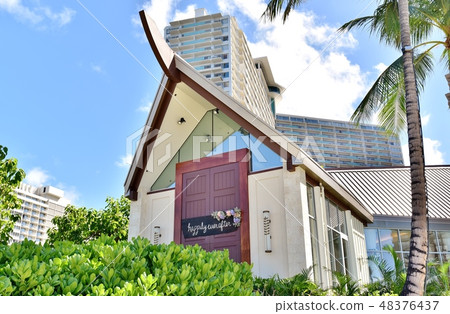 Holidays in Hawaii 48376437