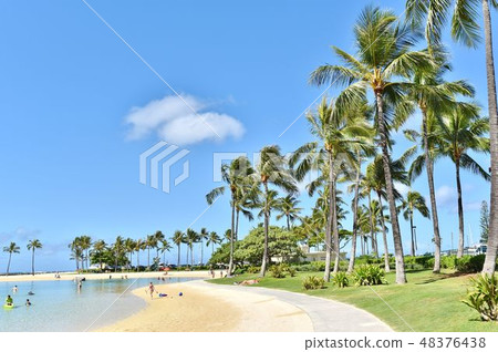 Holidays in Hawaii Holidays in Hawaii 48376438
