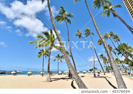 Holidays in Hawaii 48376694