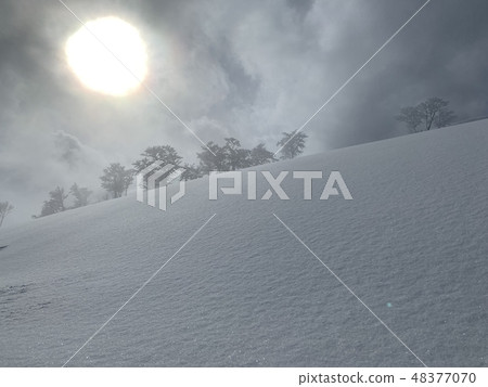 雪化妝和太陽 雪化妝和太陽 48377070