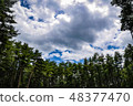 從森林的休息看天空 48377470