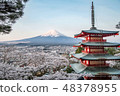 富士和櫻花和五層寶塔 48378955