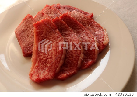 肉類優質烤肉豬裡肌肉 肉類優質烤肉豬裡肌肉 48380136