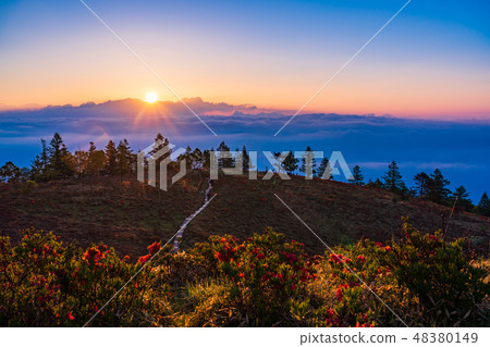 （山梨縣）阿瑪瑞山的Rengezutzi富士山遠景 48380149