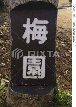 Plum garden 48380553