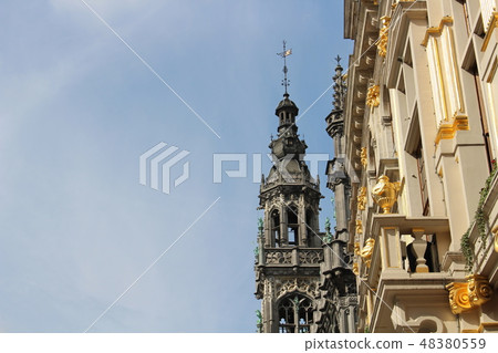 Morning Grand Place (Brussels Belgium) 48380559