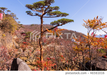 Kofu municipal park in Yamanashi Prefecture Kofu municipal park in Yamanashi Prefecture 48381016