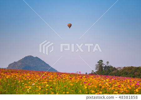Balloon on blue sky over beautiful flower garden Balloon on blue sky over beautiful flower garden 48381858