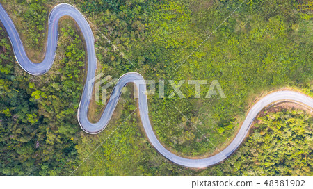 Aerial top view of a road in the forest 48381902