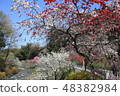 Hanamo 5 Peach blossom 48382984