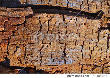 loose wood structure 48384033