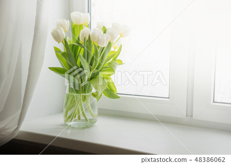 Bouquet of white tulip on windowsill. Copy space. Bouquet of white tulip on windowsill. Copy space. 48386062