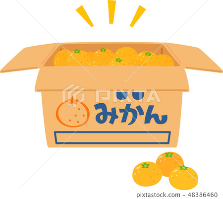 在紙板箱的橘子 48386460