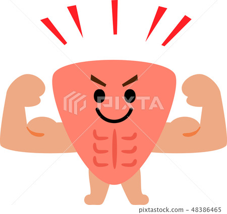 Muscle character 48386465