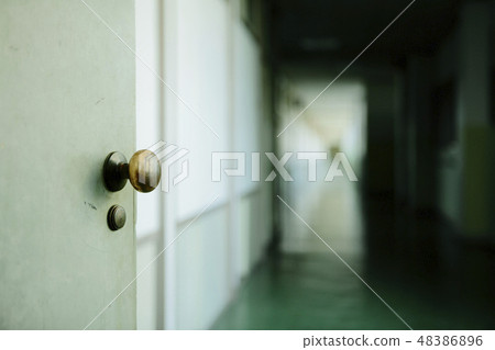 School door School door 48386896