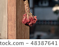 cockscomb 48387641