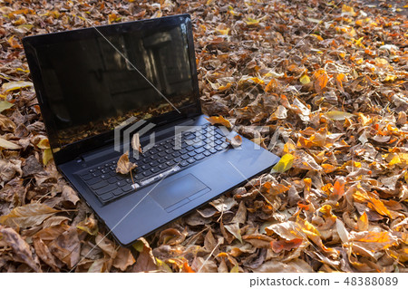 Unnecessary laptop thrown out 48388089