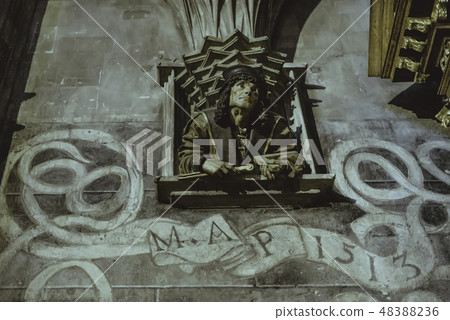 Interior Details of St. Stephen's Cathedral Interior Details of St. Stephen's Cathedral 48388236