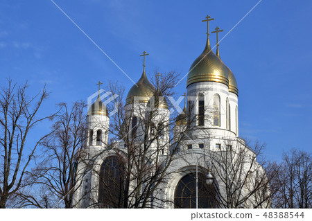 Cathedral of Christ Savior, Kaliningrad, Russia 48388544