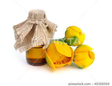 Nuphar lutea, Yellow Water-lily, Brandy-Bottle. 48388569