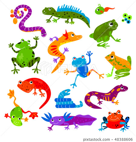 Reptile vector animal reptilian amphibian froggy character lizard turtle iguana and chameleon pet 48388606