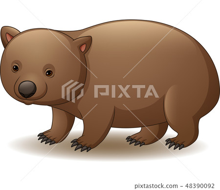 Illustration of wombat isolated  48390092