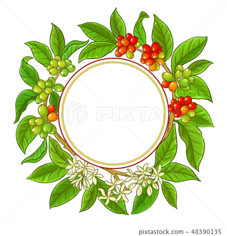 coffee vector frame 48390135