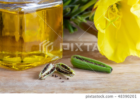 Evening primrose pods, seeds, oil and flowers Evening primrose pods, seeds, oil and flowers 48390201