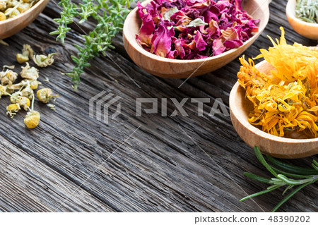Herbs on spoons on a wooden background Herbs on spoons on a wooden background 48390202