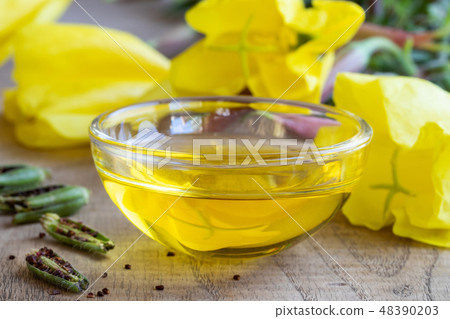 Evening primrose oil in a bowl with fresh plant Evening primrose oil in a bowl with fresh plant 48390203