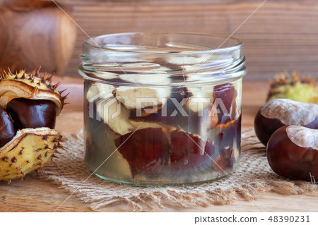 Preparation of tincture from horse chestnuts 48390231