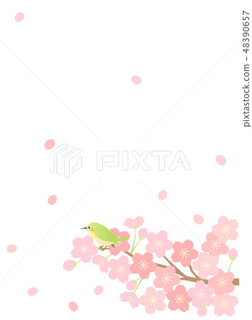 Sakura 86 Sakura 86 48390657