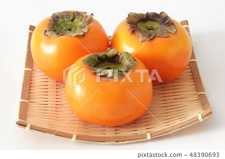 Misera persimmon Misera persimmon 48390693