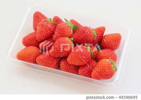 Ichigo Pack (Fagacao) Ichigo Pack (Fagacao) 48390695