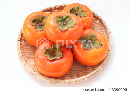 Persimmon (Tominari persimmon) Persimmon (Tominari persimmon) 48390696