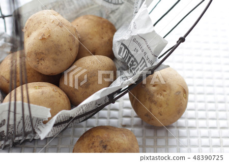  Potato that is wrapped in a newspaper and saved on a white tile 48390725