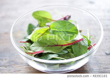 Green baby leaf mixed salad 48391181